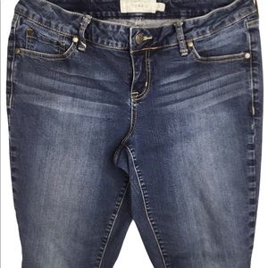 Torrid Skinny Denim Jeans